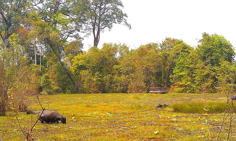 Итак, добрались в Бантей Срей (Banteay Srey). По д