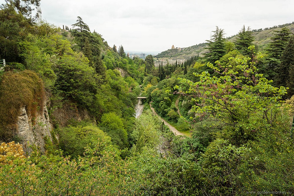 Тбилиси, Ботанический сад
