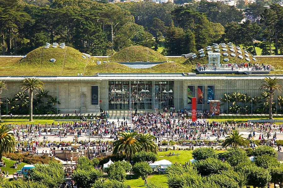 Калифорнийская Академия наук, парк Голден-Гейт, Сан-Франциско.