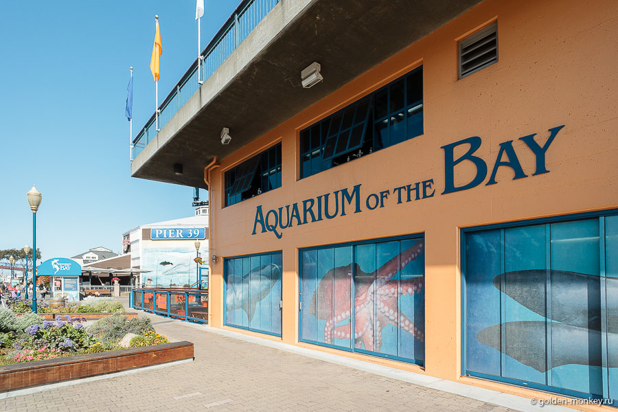 Так выглядит снаружи здание, в котором расположился Aquarium of the Bay